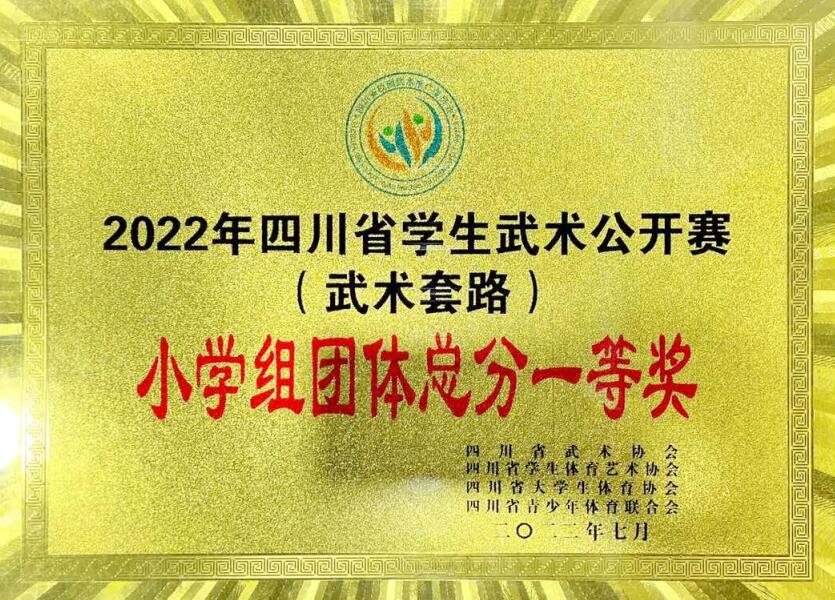 2022年四川省學生武術公開賽?(武術套路)?小學組團休總分一等獎